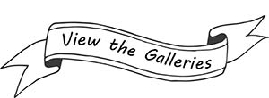 View_The_Galleries_Ribbon