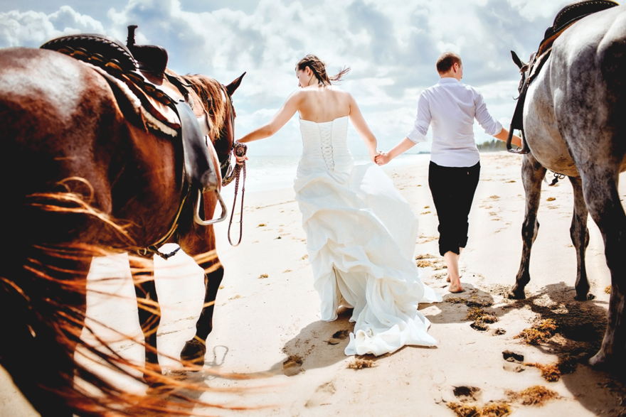Horses Wedding